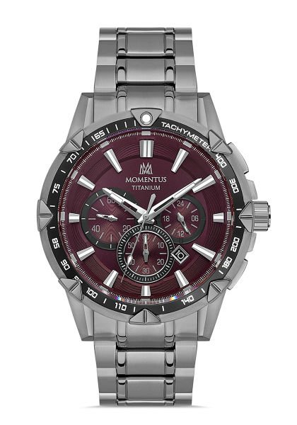Momentus X800V-14SS Erkek Kol Saati