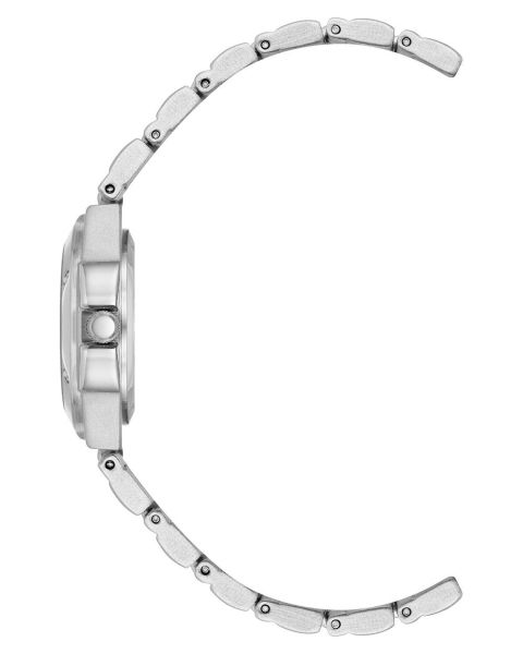 ANNE KLEIN 10-8655SISV Kadın Kol Saati