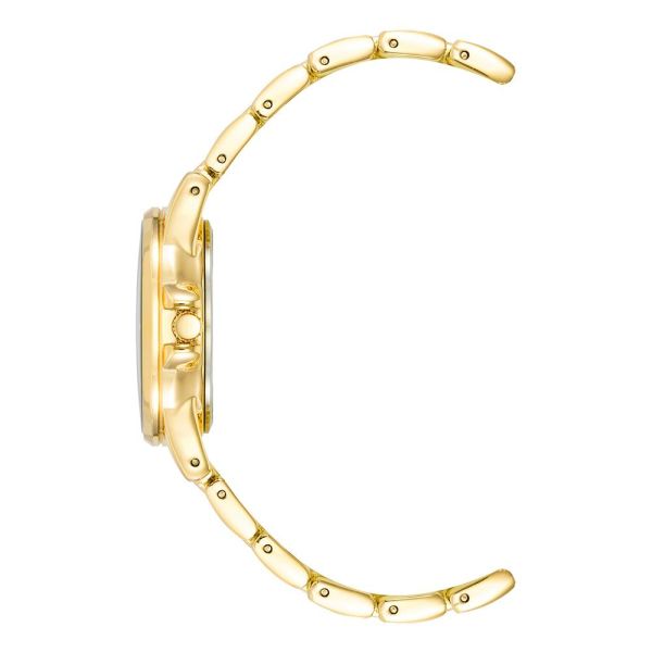 ANNE KLEIN AK-4132RQGB Kadın Kol Saati