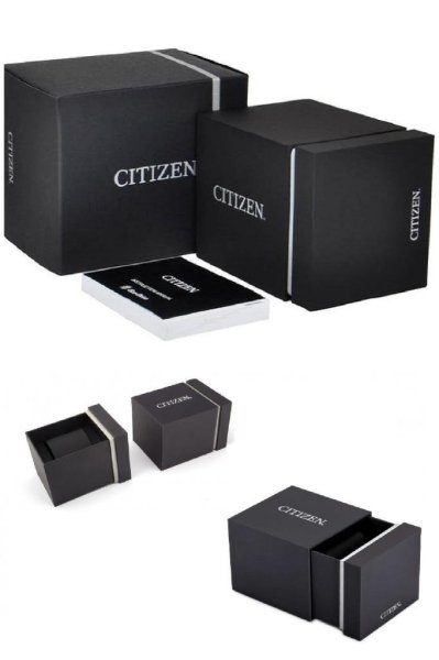 Citizen AT2480-81X Erkek Kol Saati