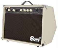 AF30 Saz Ve Akustik Gitar Amfisi 30 Watt