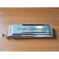 CREMONİA HM10C MIZIKA KROMATİK G 10 DELİKLİ 40 SESLİ POMPALI
