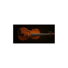 VALENCİA VA16041 VİOLA KUTULU 16 İNCH (40.64CM)