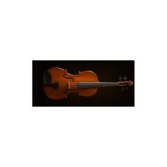 VALENCİA VA16041 VİOLA KUTULU 16 İNCH (40.64CM)