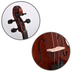 DVAP44 Viyola Profesyonel El Yapımı