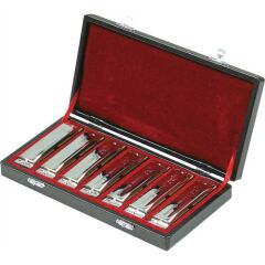 SWAN SW1020-7T 10 DELİKLİ 7 Lİ MIZIKA SETİ