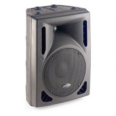 STAGG SMS15 300 WATT PASİF KABİN