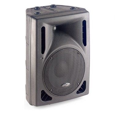 STAGG SMS15 300 WATT PASİF KABİN