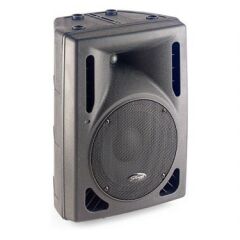 STAGG SMS15 300 WATT PASİF KABİN