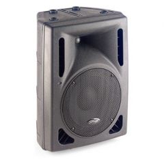 STAGG SMS15 300 WATT PASİF KABİN