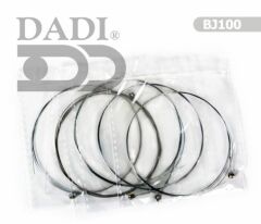BJ100 Banjo Takım Tel
