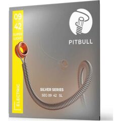 PİTBULL SEG ELEKTRO GİTAR TELİ 09-42 SUPER LIGHT