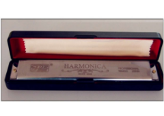 HONER HM0324 PROFESYONEL MIZIKA 24 DELİK