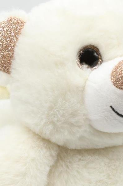Twigy TT0753 Tw Bear Beyaz Hayvan Figürlü Kadın Panduf