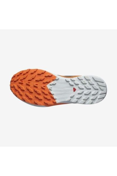 Salomon Sense Ride 5 Gtx Erkek Koşu Ayakkabısı