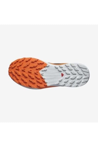 Salomon Sense Ride 5 Gtx Erkek Koşu Ayakkabısı