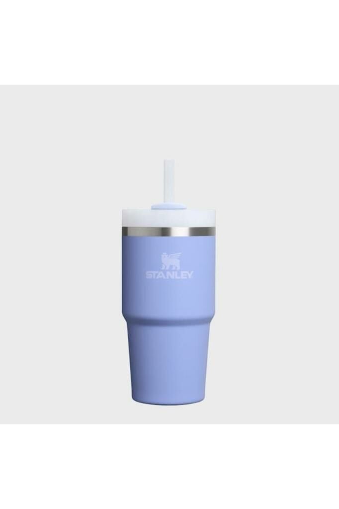 Stanley Quencher H2.O FlowState Tumbler Pipetli Termos 0,6 L Lila