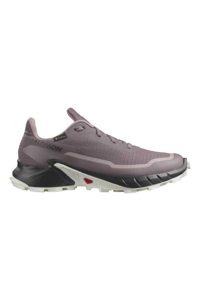 Salomon Alphacross 5 GTX W Moonscape Kadın Ayakkabı