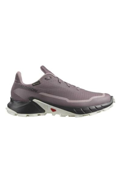 Salomon Alphacross 5 GTX W Moonscape Kadın Ayakkabı