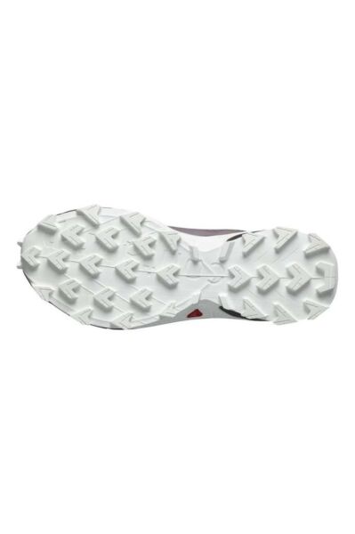 Salomon Alphacross 5 GTX W Moonscape Kadın Ayakkabı