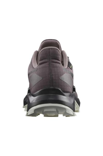 Salomon Alphacross 5 GTX W Moonscape Kadın Ayakkabı