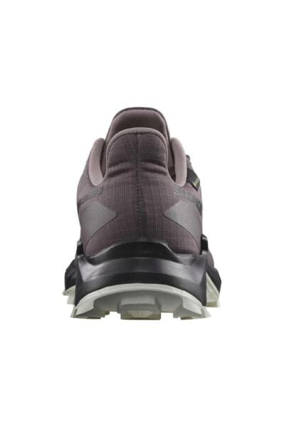 Salomon Alphacross 5 GTX W Moonscape Kadın Ayakkabı