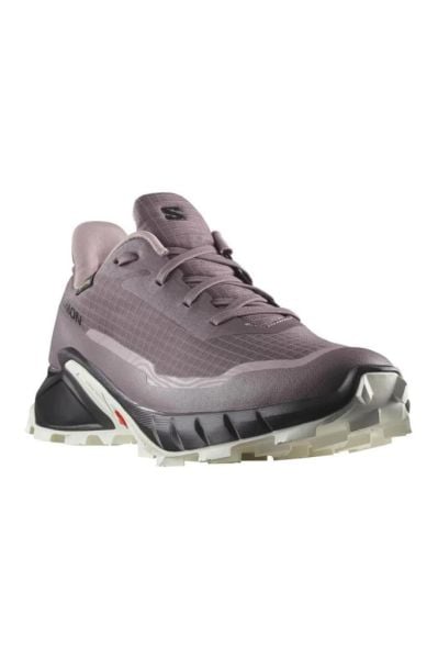 Salomon Alphacross 5 GTX W Moonscape Kadın Ayakkabı