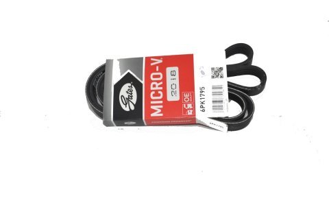 Alternatör Kayışı 1.9 Trafic-Laguna II -Megane II