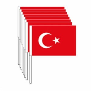 Vatan Türk Bayrağı Kağıt Çıtalı Büyük 20x30 50'li