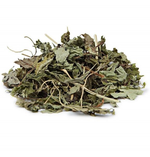 Oğul Otu- Melisa 40 g