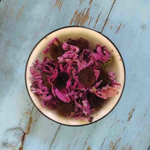 Ekinezya - Çiçek 40 g