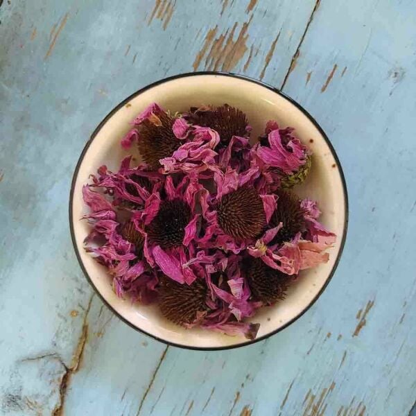 Ekinezya - Çiçek 40 g