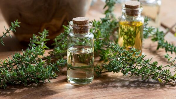 Kekik Yağı 20 ml