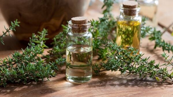 Kekik Yağı 20 ml