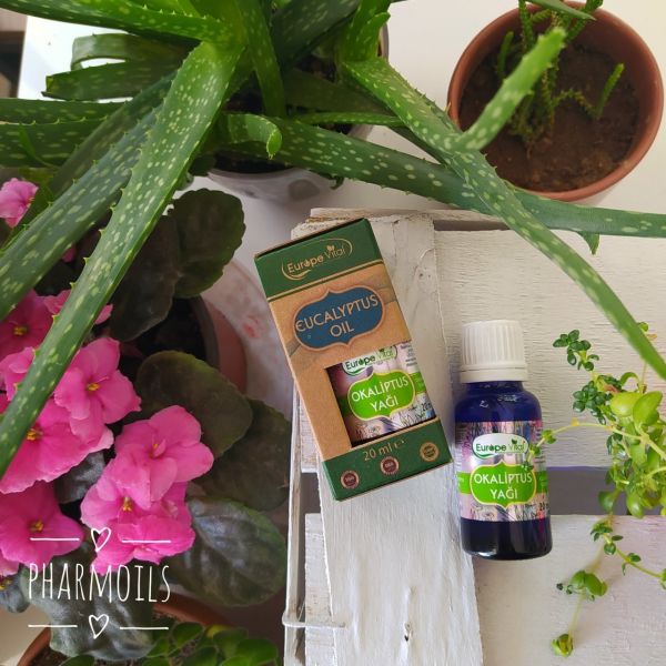Okaliptus Yağı 20 ml