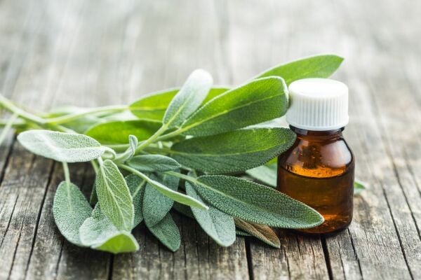 Adaçayı (Acıelma) Yağı 20 ml