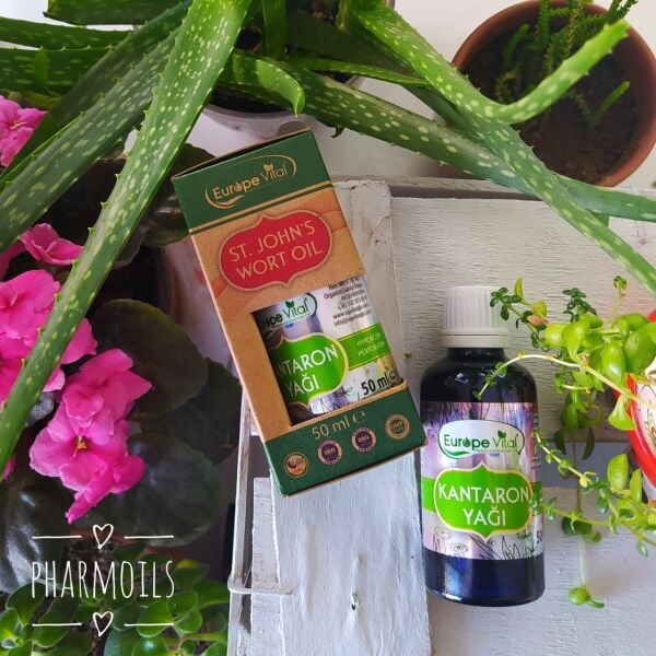 Sarı Kantaron Yağı 50 ml