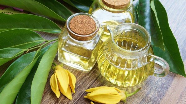 Ylang Ylang Yağı 20 ml