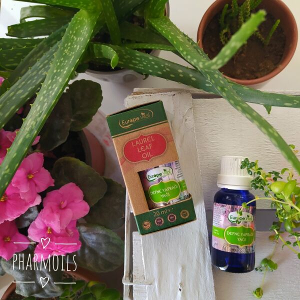 Defne  Yaprağı  Yağı 20 ml