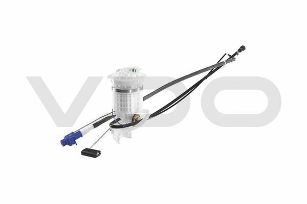 Kollu Şamadıra 4103590662019  A2C53378264Z