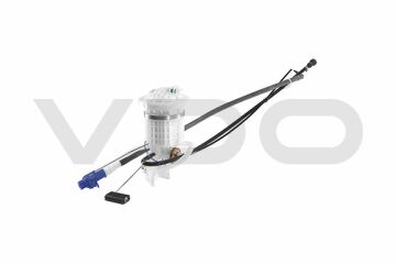 Kollu Şamadıra 4103590662019  A2C53378264Z