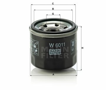 W 6011Otomobil
