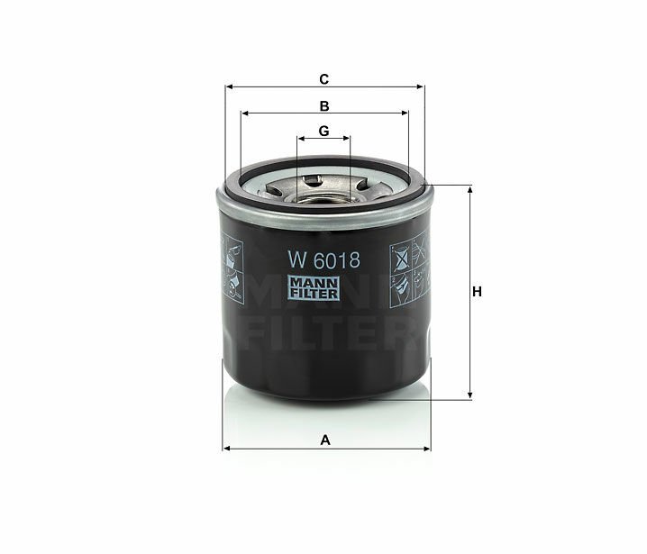 W 6018Otomobil