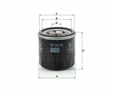 W 6018Otomobil
