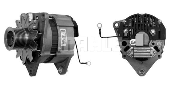 MG 145 Z1660 14V 65A LETRİKA MAHLE ISKRA MG145 72735144 11204324500   3838922067477  504334055