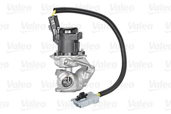 700409 EGR VALFİ FORD FOCUS C-MAX1.6 TDCİ 16V 1313847