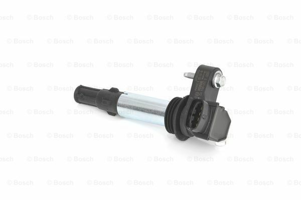 BOSCH_0221604104  0221604112