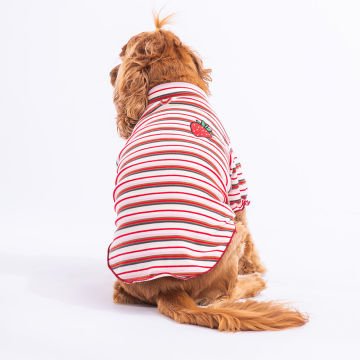 PawStar Fragola Küçük ve Orta Irk Sweat