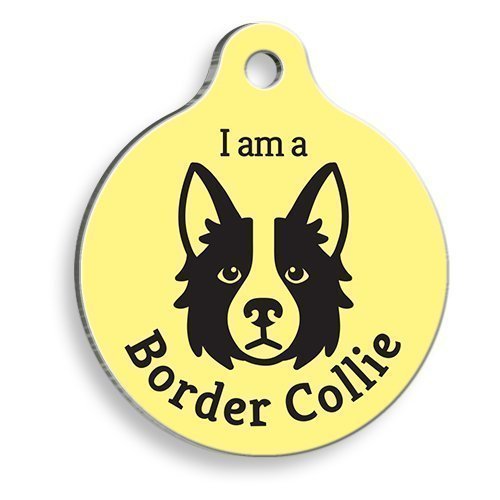 Sarı Border Collie Yuvarlak Köpek Künyesi