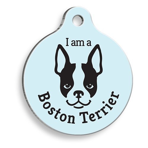Mavi Boston Terrier Yuvarlak Köpek Künyesi